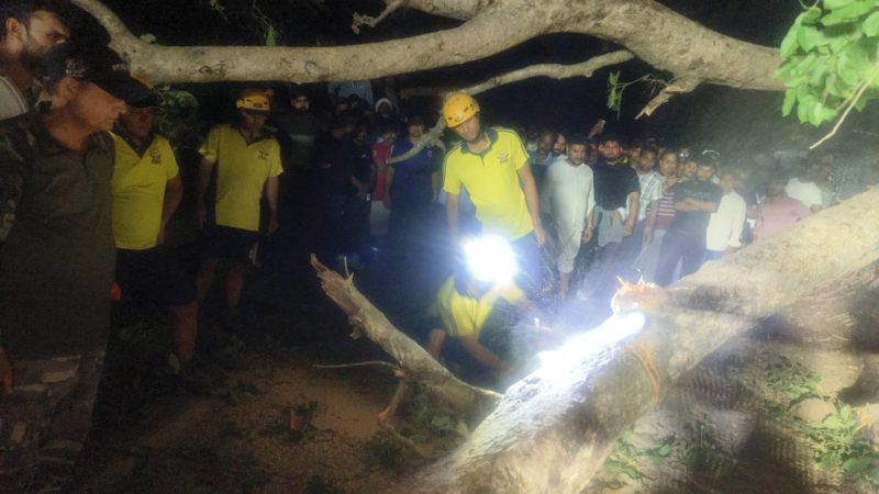 पेड़ गिरने से चीला बायपास लक्ष्मण झूला रोड जाम, SDRF की तत्परता से आवागमन बहाल