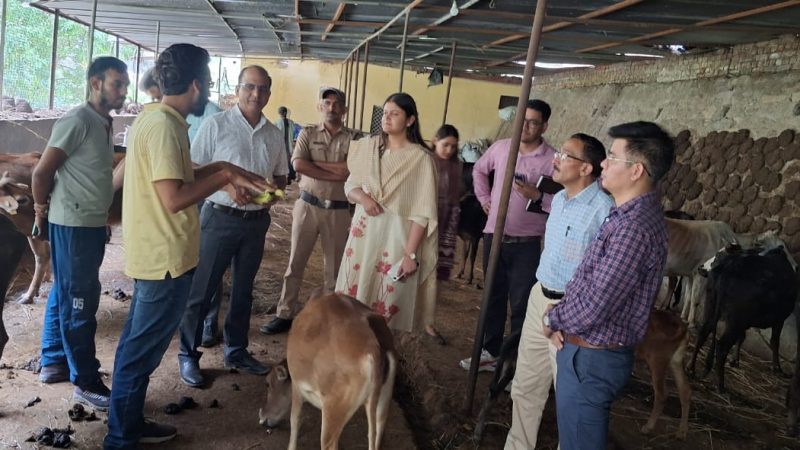 सीडीओ वरूणा अग्रवाल ने किया बागी देवप्रयाग गौशाला का निरीक्षण: दिए बायोगैस संयंत्र और कंपोस्ट पिट स्थापित करने के निर्देश