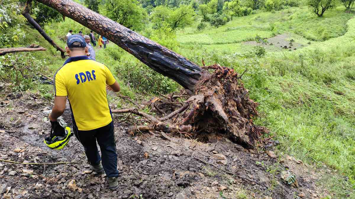 ब्रेकिंग न्यूज| घनसाली क्षेत्र में दर्दनाक हादसा: पेड़ गिरने से दो स्कूली बच्चों की मौत
