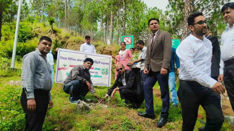 हरेला पर्व पर जिला विधिक सेवा प्राधिकरण टिहरी गढ़वाल द्वारा वृक्षारोपण कार्यक्रम का भव्य आयोजन