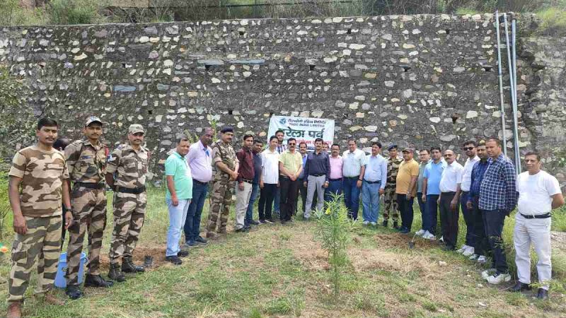 हरेला पर्व पर कोटेश्वर परियोजना में 300 से अधिक पौधे लगाए गए