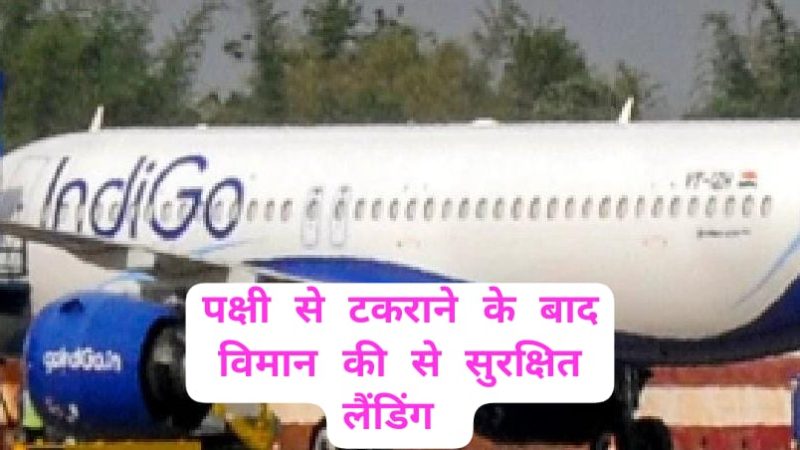 ब्रेकिंग न्यूज: पटना-दिल्ली इंडिगो फ्लाइट की बर्ड हिट के कारण इमरजेंसी लैंडिंग