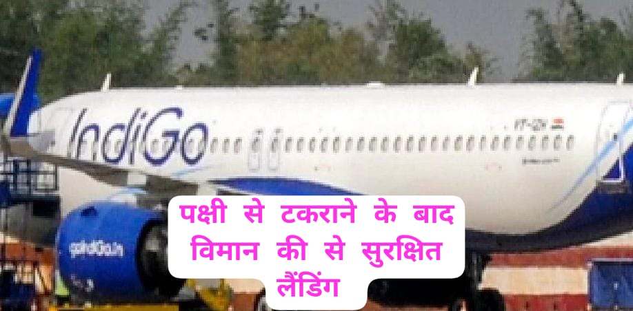 ब्रेकिंग न्यूज: पटना-दिल्ली इंडिगो फ्लाइट की बर्ड हिट के कारण इमरजेंसी लैंडिंग