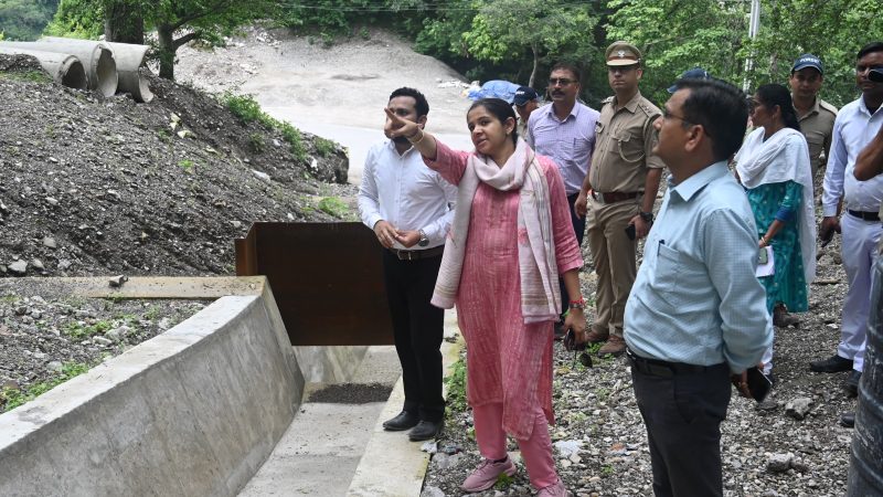 नीरगढ़, शिवपुरी रेंज नरेंद्रनगर में जिलाधिकारी ने किया स्थलीय निरीक्षण