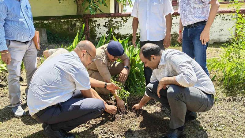 हरेला पर्व पर चंपावत में महापौधारोपण अभियान शुरू, “एक पेड़ माँ के नाम” से शुभारंभ