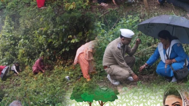 निरंकारी मिशन का “वननेस वन” अभियान : हरियाली संग सेवा का संदेश